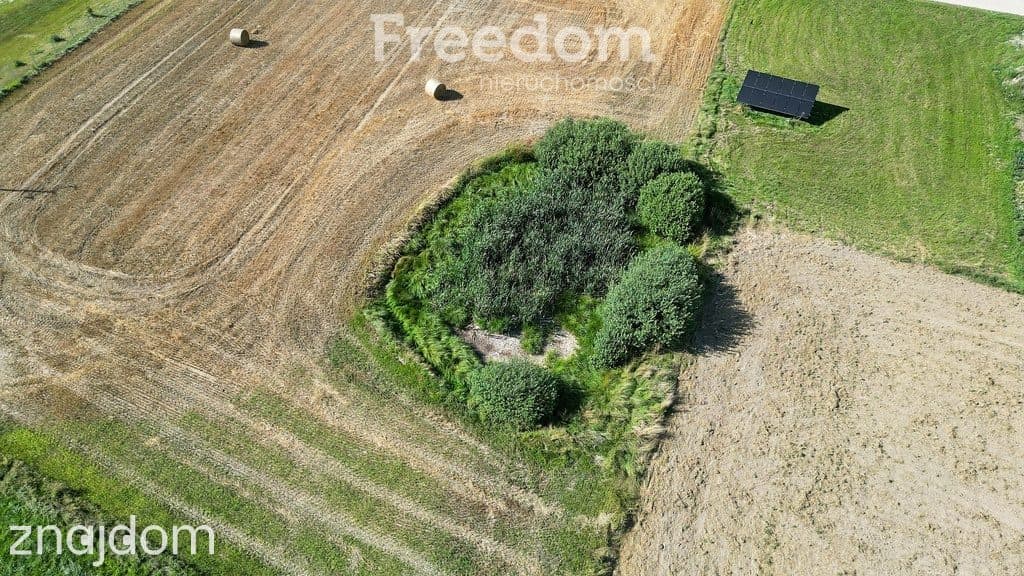 Działka na sprzedaż - Wielowieś, gm. Zalewo - zdjęcie 14