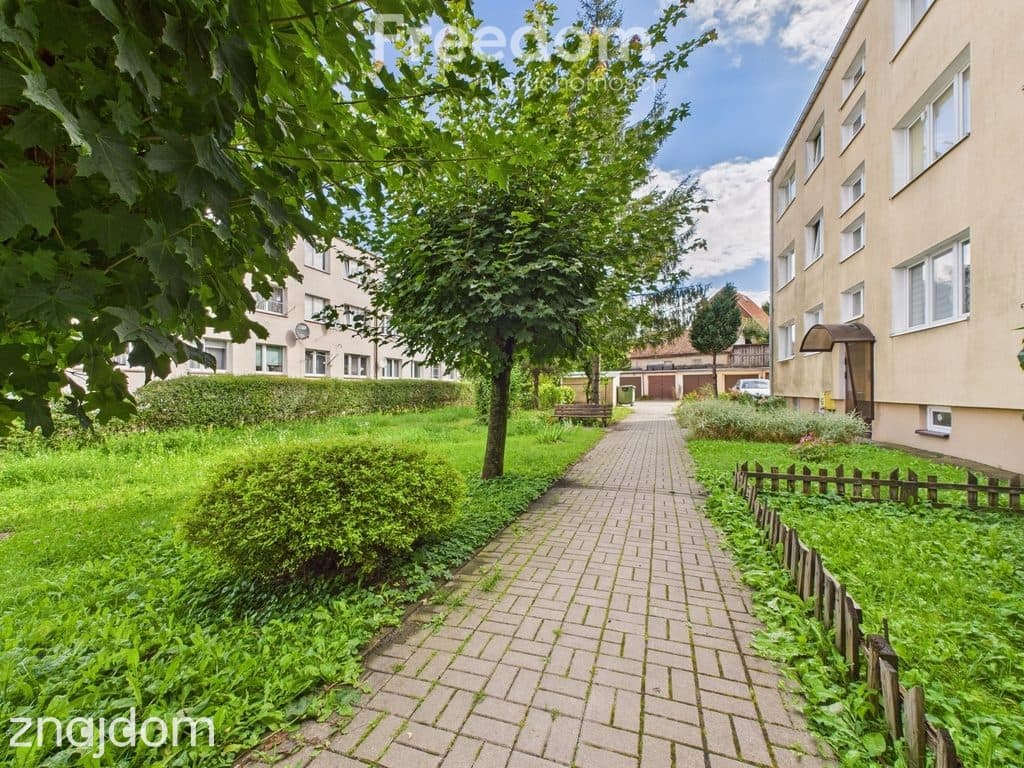 3 pokojowe mieszkanie w dogodnej lokalizacji - zdjęcie 12