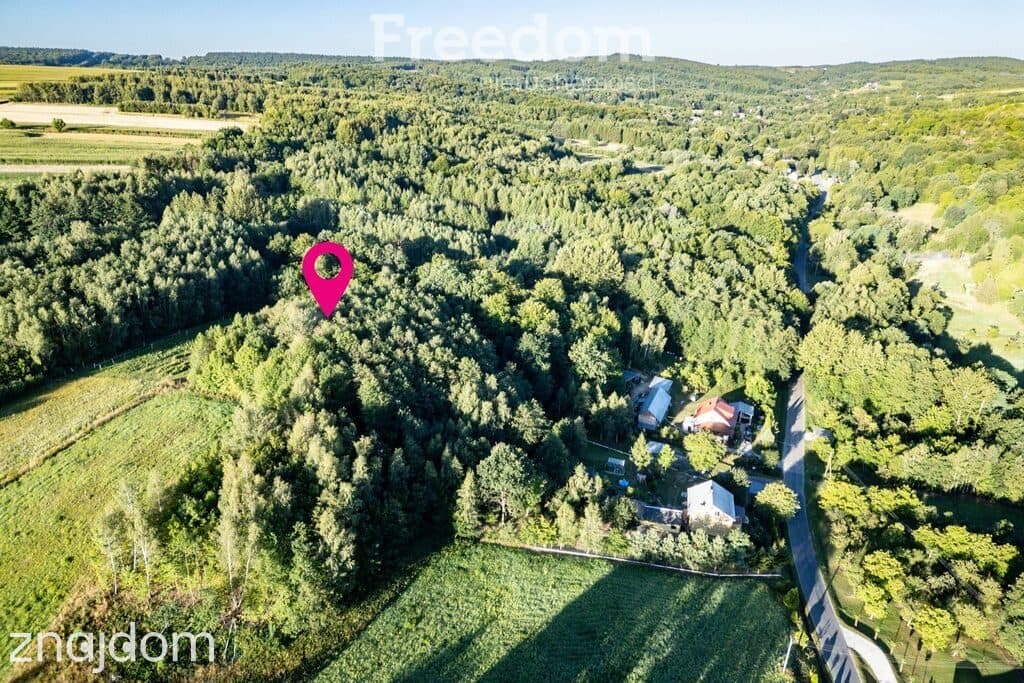 Działka z własnym lasem (43 ar),blisko sanktuarium - zdjęcie 5