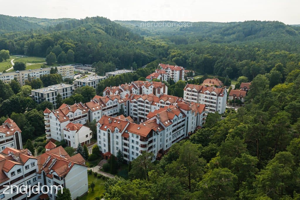 Duze, komfortowe mieszkanie w otoczeniu lasu - zdjęcie 18