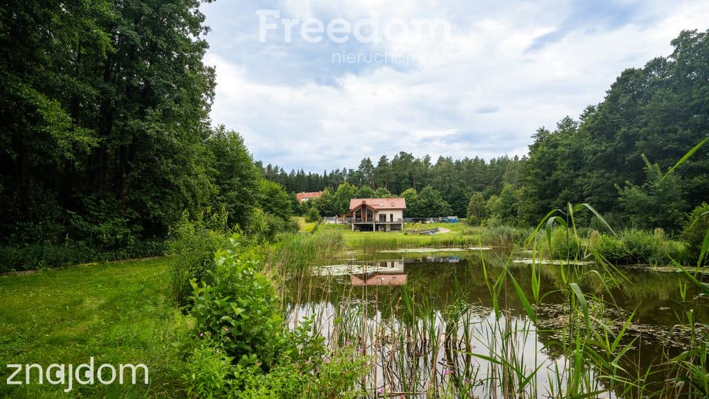 Dom na działce 6869 m² z własnym stawem | Ogonki - zdjęcie 20
