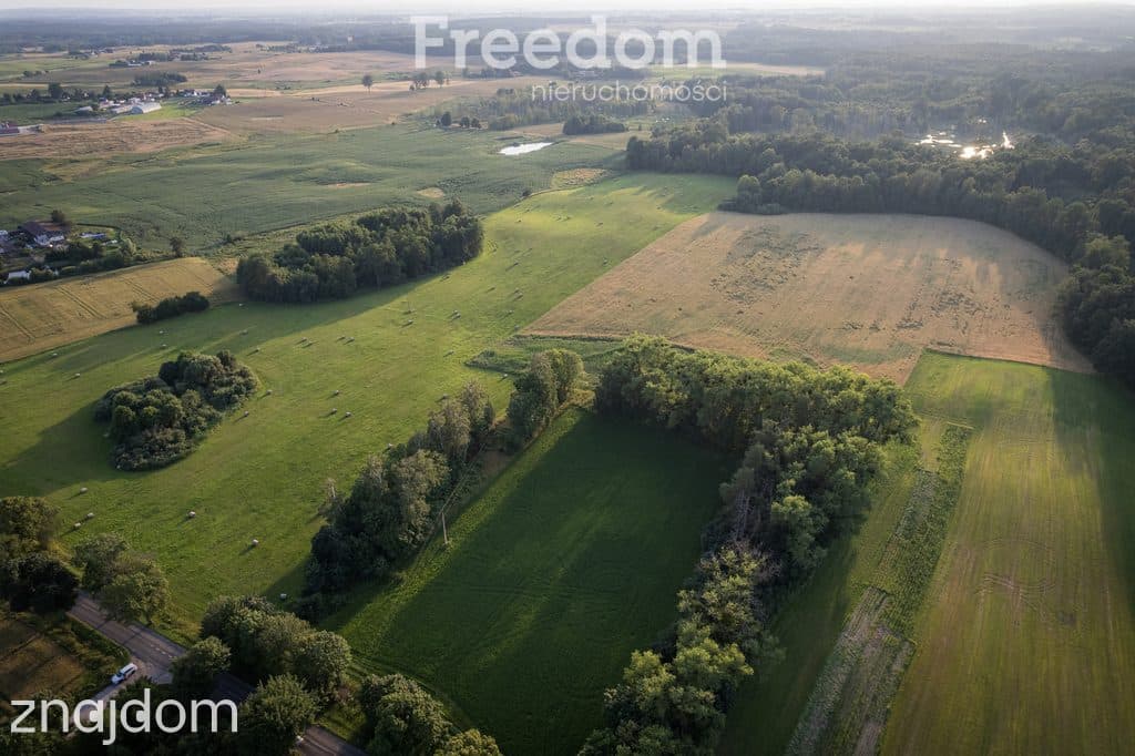 14,2 ha wysokiej klasy gruntów | dochód dzierżawa - zdjęcie 4