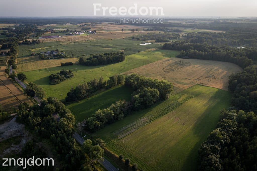 14,2 ha wysokiej klasy gruntów | dochód dzierżawa - zdjęcie 6