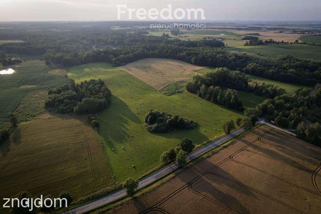 14,2 ha wysokiej klasy gruntów | dochód dzierżawa - zdjęcie 3