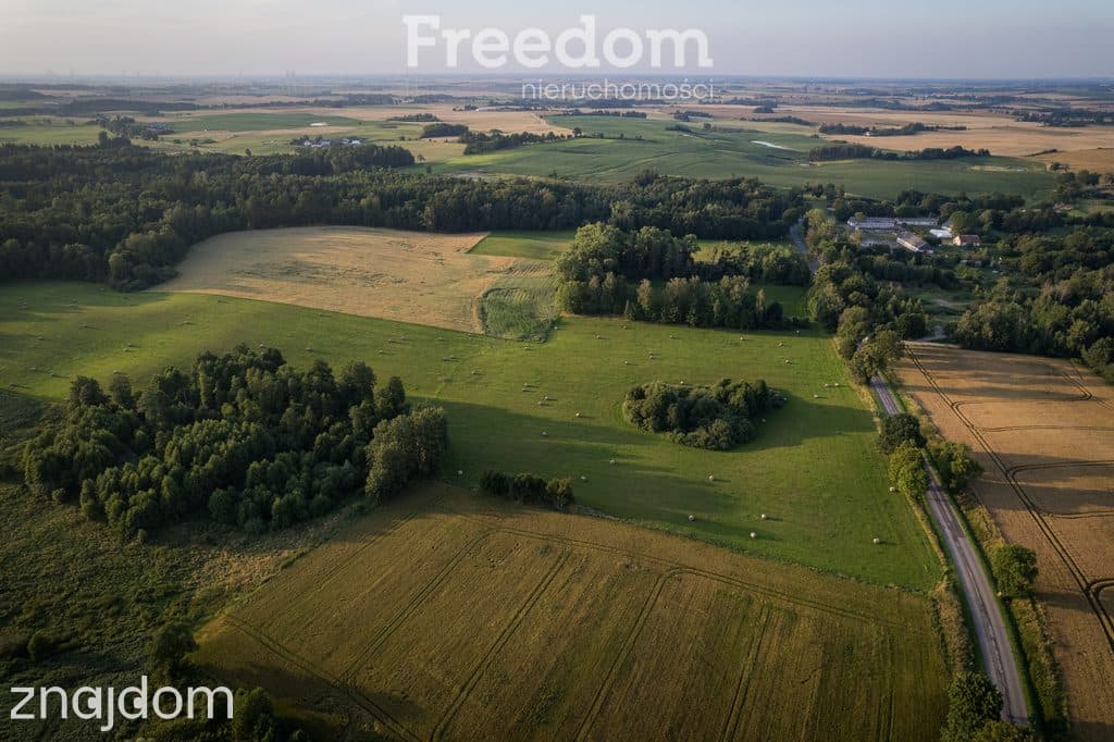 14,2 ha wysokiej klasy gruntów | dochód dzierżawa - zdjęcie 2