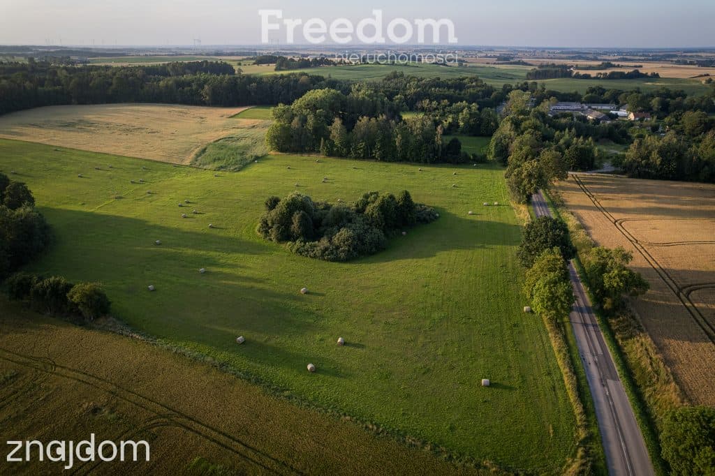 14,2 ha wysokiej klasy gruntów | dochód dzierżawa