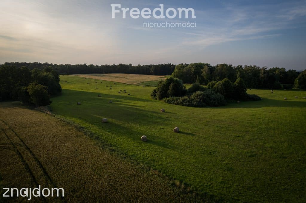 14,2 ha wysokiej klasy gruntów | dochód dzierżawa - zdjęcie 8