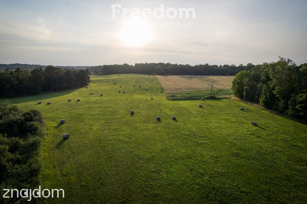 14,2 ha wysokiej klasy gruntów | dochód dzierżawa - zdjęcie 9