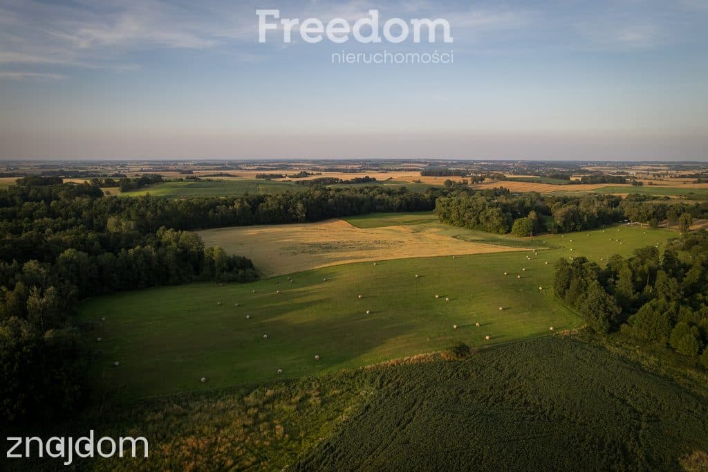 14,2 ha wysokiej klasy gruntów | dochód dzierżawa - zdjęcie 10