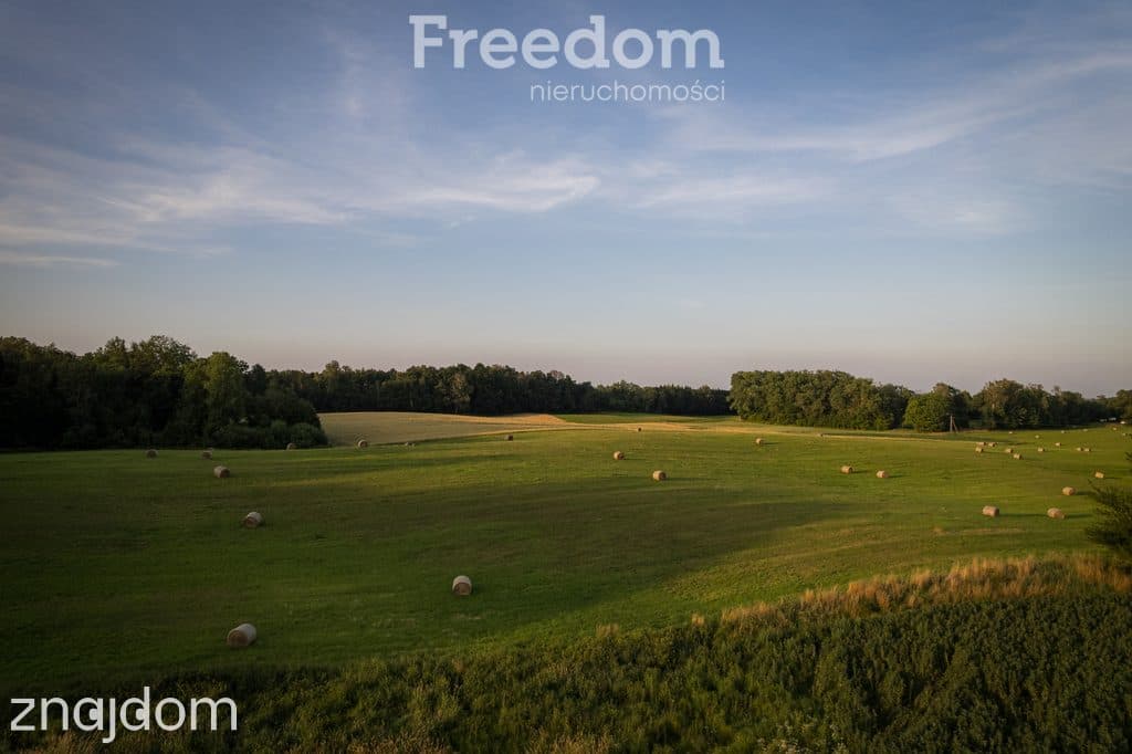 14,2 ha wysokiej klasy gruntów | dochód dzierżawa - zdjęcie 11