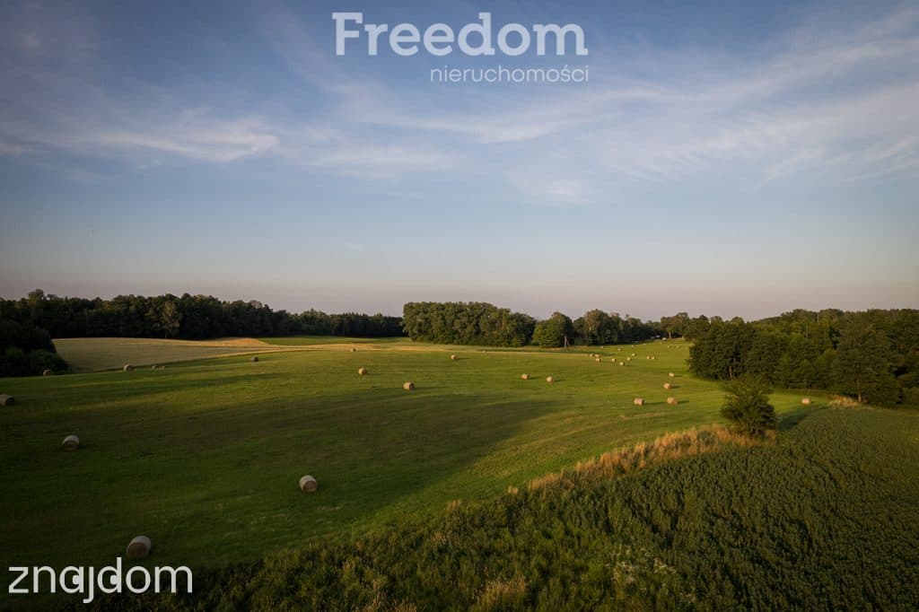 14,2 ha wysokiej klasy gruntów | dochód dzierżawa - zdjęcie 12