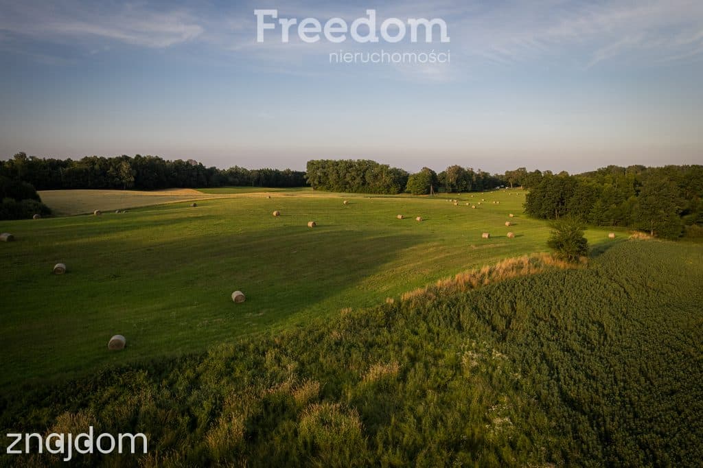 14,2 ha wysokiej klasy gruntów | dochód dzierżawa - zdjęcie 13