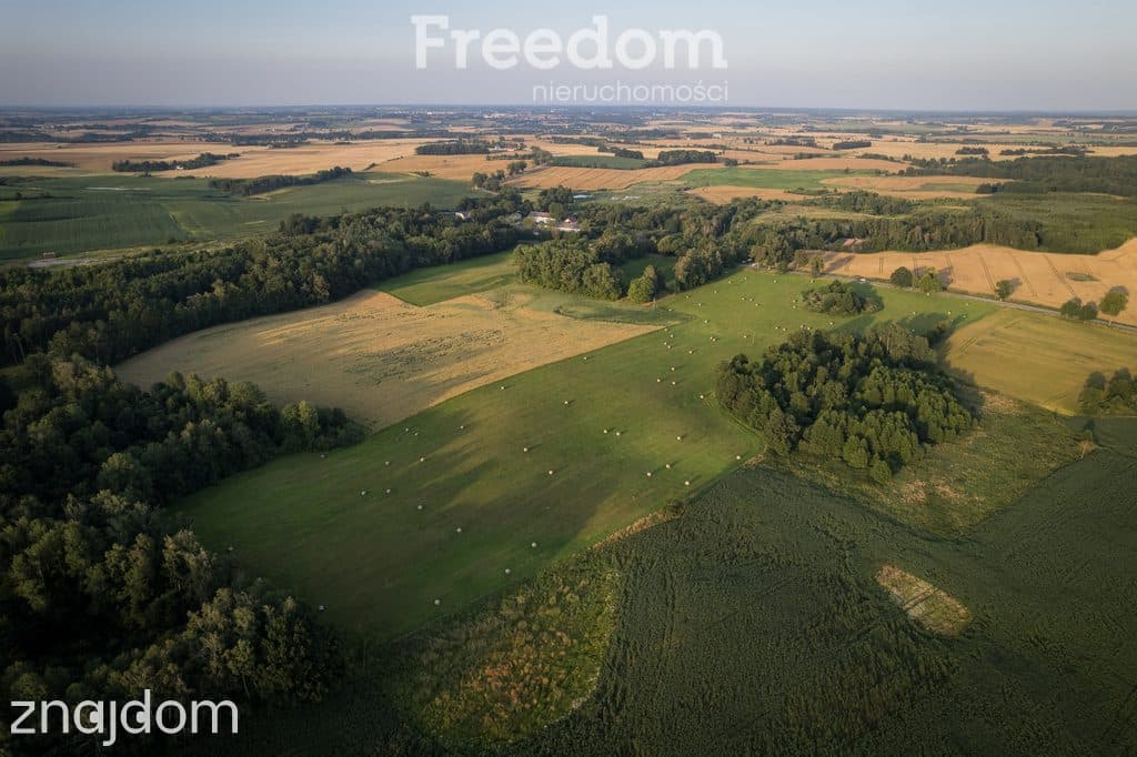 14,2 ha wysokiej klasy gruntów | dochód dzierżawa - zdjęcie 14