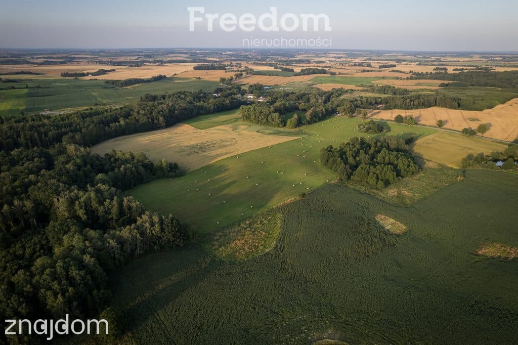 14,2 ha wysokiej klasy gruntów | dochód dzierżawa - zdjęcie 15