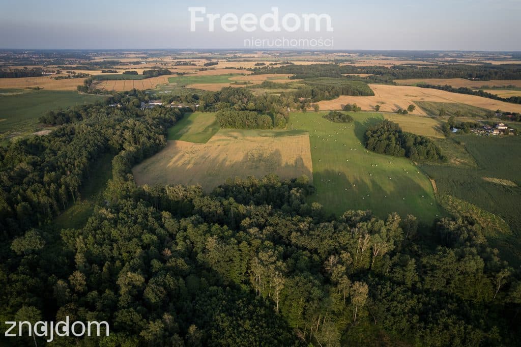 14,2 ha wysokiej klasy gruntów | dochód dzierżawa - zdjęcie 16