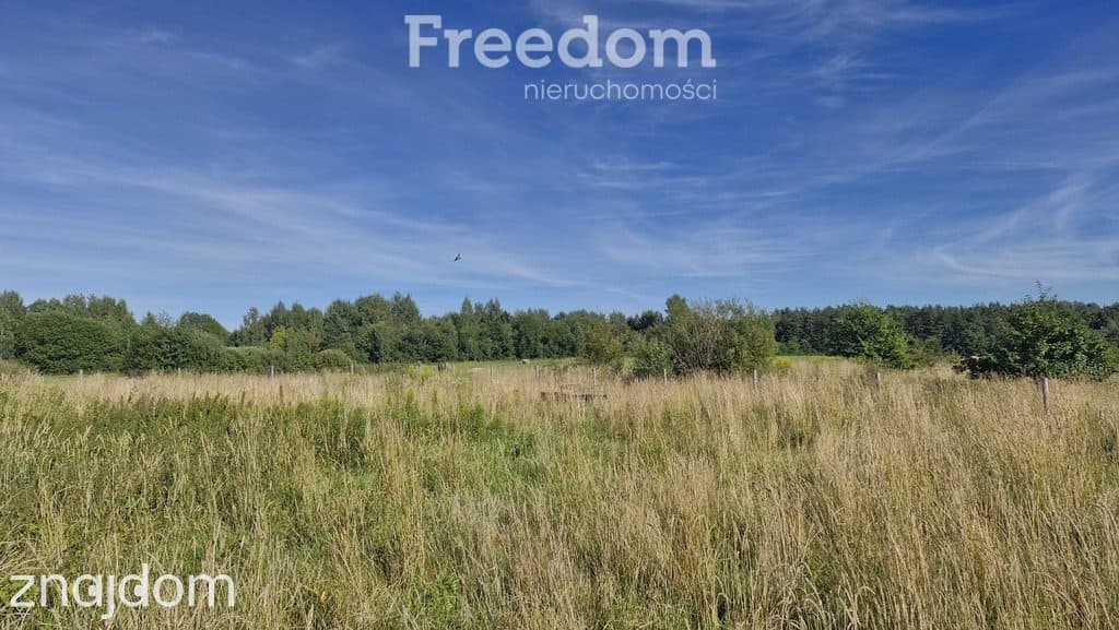 Działka 789 m² z pozwoleniem – Patryki - zdjęcie 14