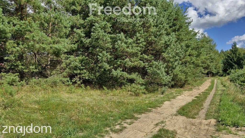 Działka rekreacyjna 677 m² Miętkie Mazury MPZP 1ML - zdjęcie 9