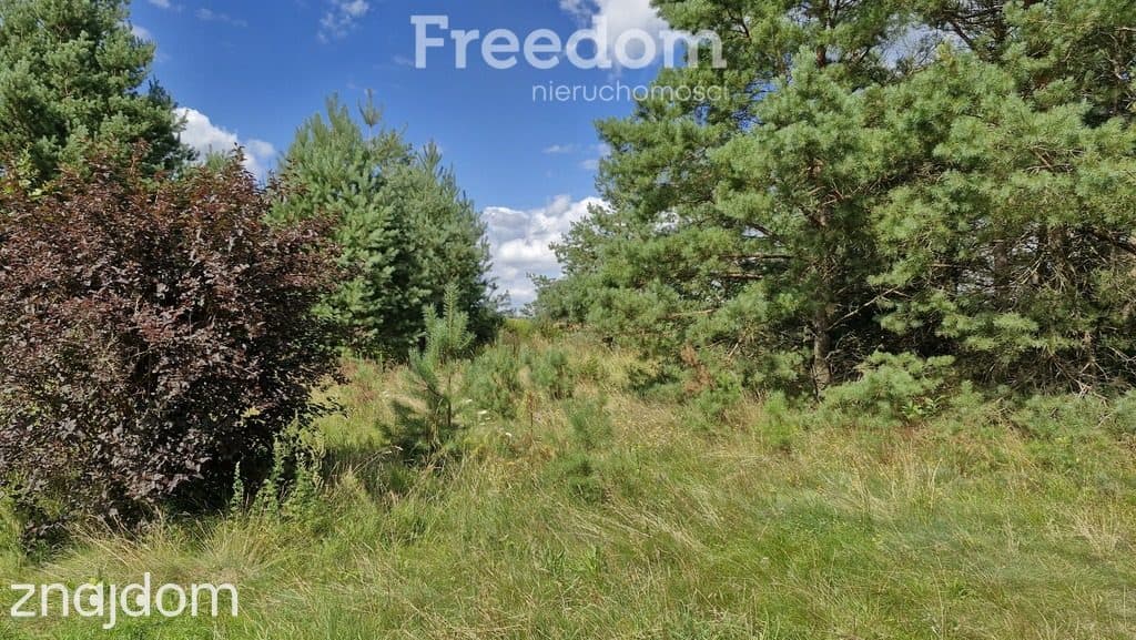 Działka rekreacyjna 677 m² Miętkie Mazury MPZP 1ML - zdjęcie 10