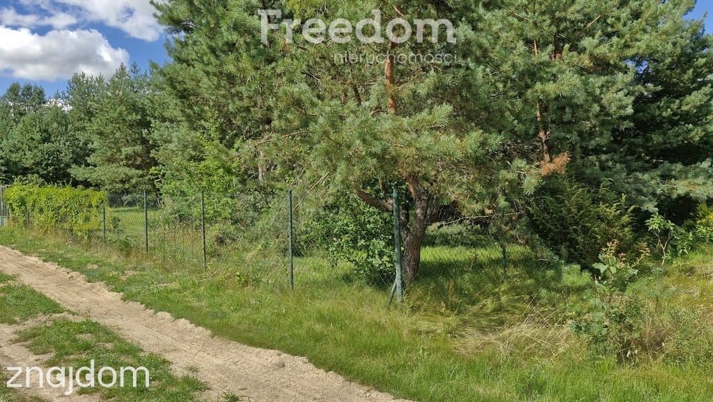 Działka rekreacyjna 677 m² Miętkie Mazury MPZP 1ML - zdjęcie 11
