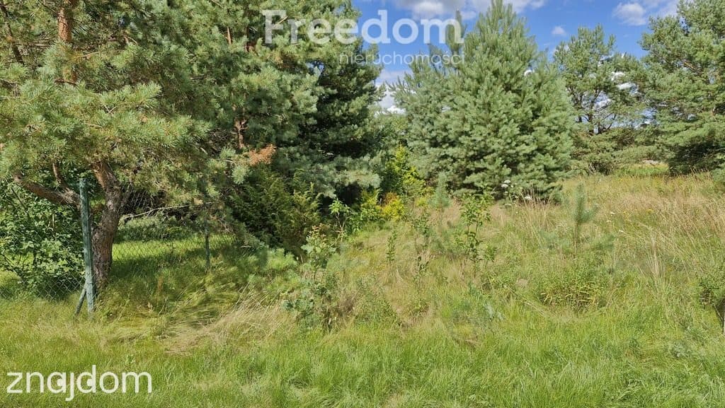 Działka rekreacyjna 677 m² Miętkie Mazury MPZP 1ML - zdjęcie 12