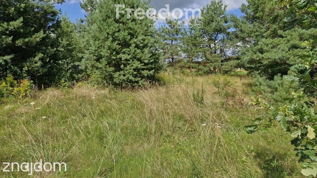 Działka rekreacyjna 677 m² Miętkie Mazury MPZP 1ML - zdjęcie 13