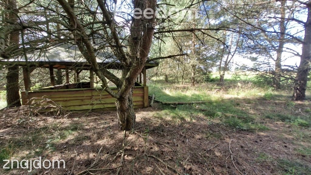 Działka rekreacyjna 677 m² Miętkie Mazury MPZP 1ML - zdjęcie 11