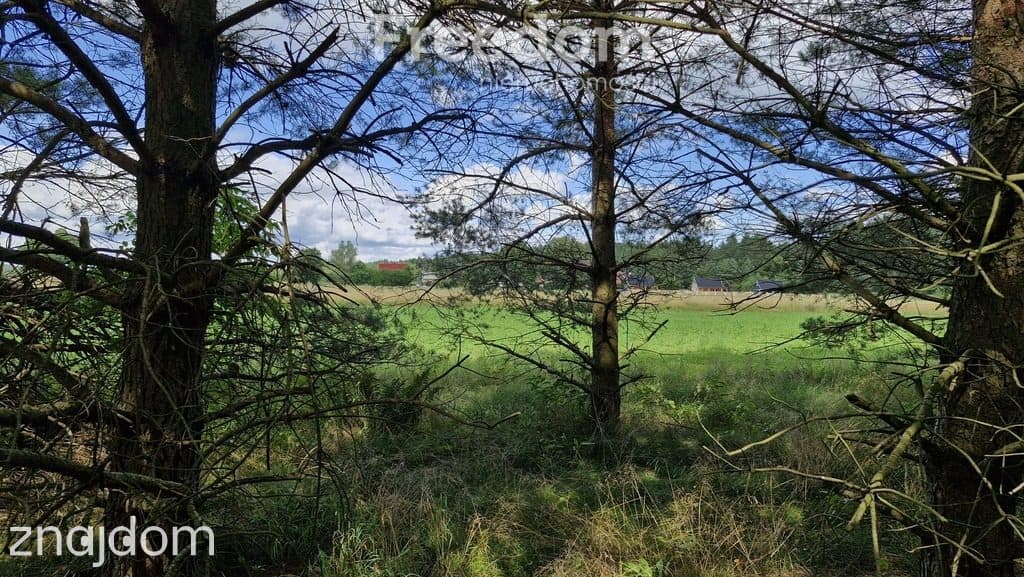 Działka rekreacyjna 677 m² Miętkie Mazury MPZP 1ML - zdjęcie 3