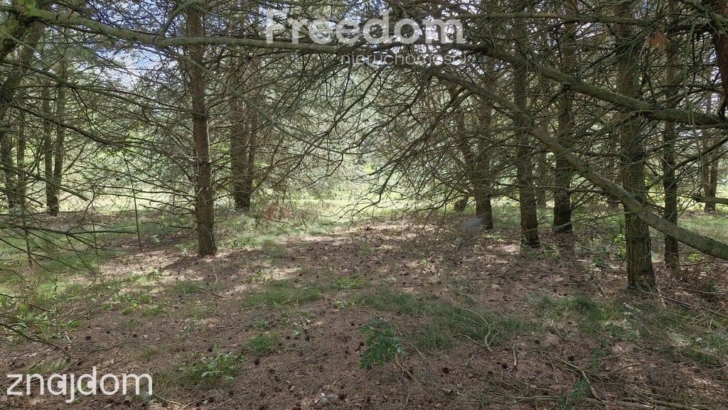 Działka rekreacyjna 677 m² Miętkie Mazury MPZP 1ML - zdjęcie 8