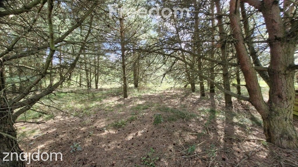 Działka rekreacyjna 677 m² Miętkie Mazury MPZP 1ML - zdjęcie 2