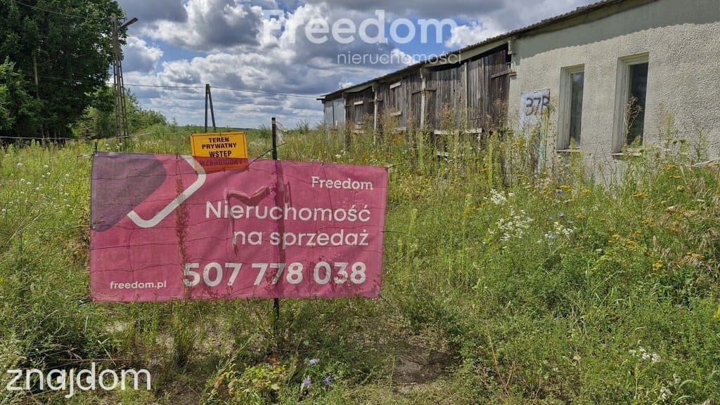 Atrakcyjne działki 2w1 na Mazurach - zdjęcie 8