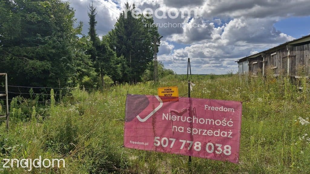 Atrakcyjne działki 2w1 na Mazurach - zdjęcie 9