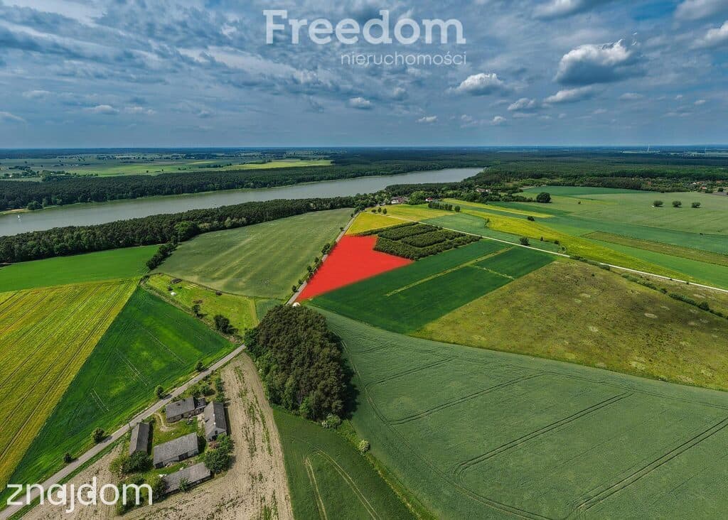 Działka z WZ przy jeziorze Budziszewskim-Grzybowo - zdjęcie 4