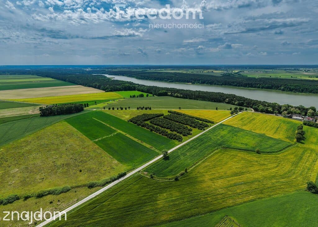 Działka z WZ przy jeziorze Budziszewskim-Grzybowo - zdjęcie 5