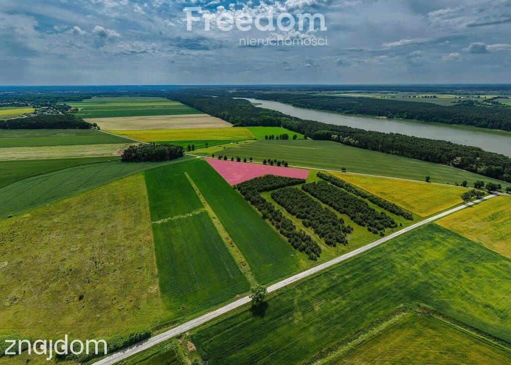 Działka z WZ przy jeziorze Budziszewskim-Grzybowo - zdjęcie 8