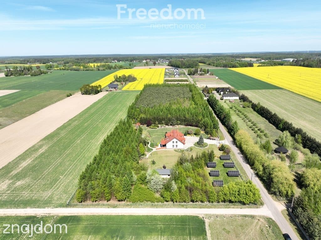 Rezydencja | 2,3 ha | własny las, fotowoltaika - zdjęcie 5