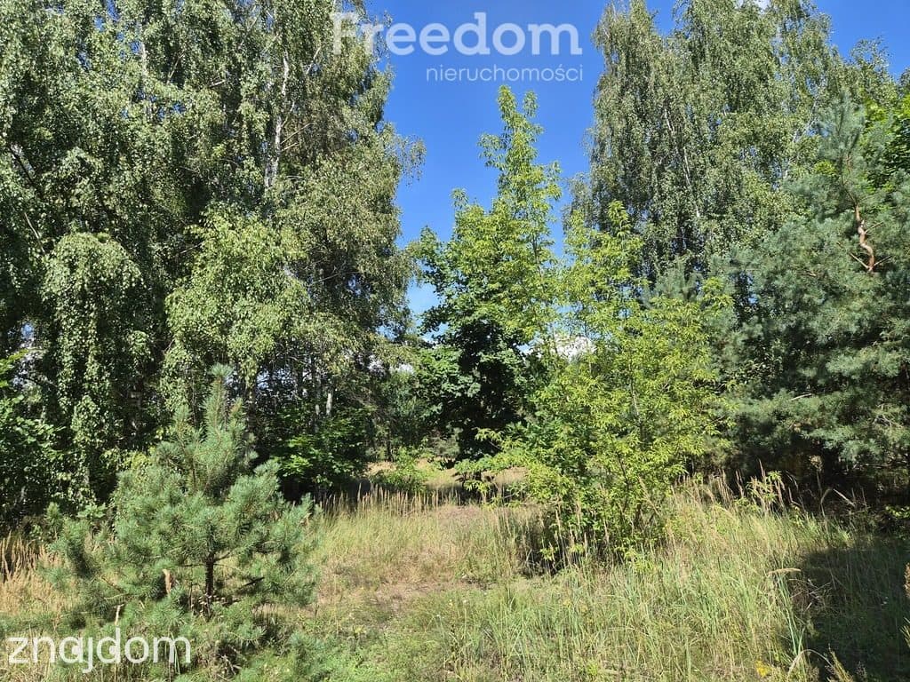 Działka w malowniczym otoczeniu natury. - zdjęcie 3