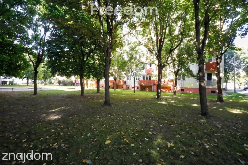 Mieszkanie w Iławie, świetna lokalizacja, 47,9m2 - zdjęcie 10