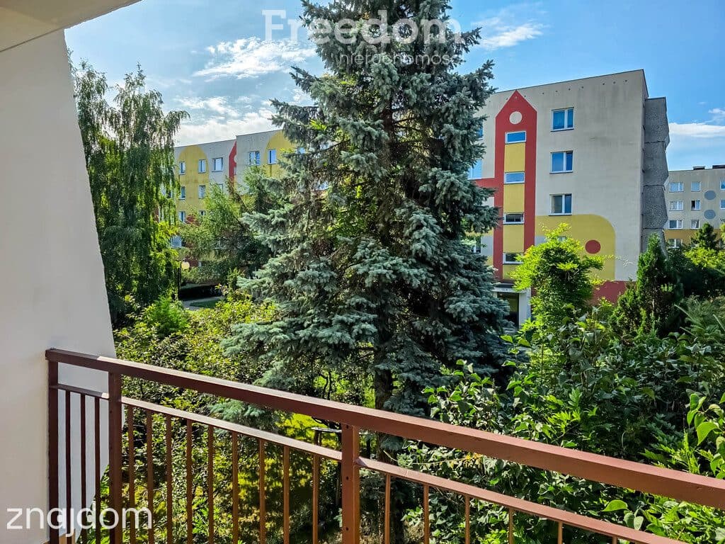 2-pokojowe mieszkanie z oddzielną kuchnią - zdjęcie 3