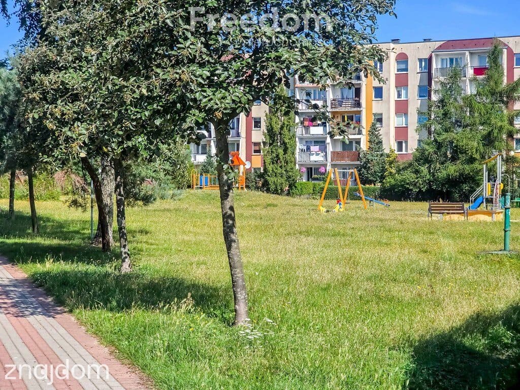 2-pokojowe mieszkanie z oddzielną kuchnią - zdjęcie 15