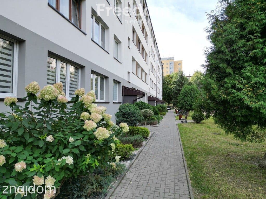 Bełchatów, Os. Wolność, 3 pokoje, - zdjęcie 11