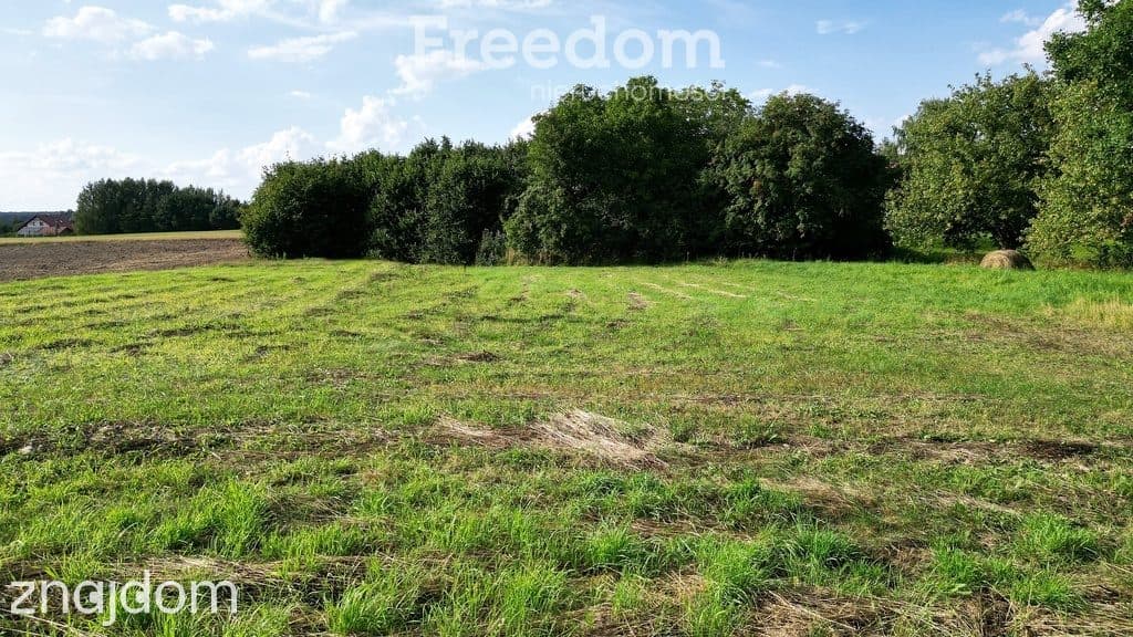Działka z MPZP – Jezierzyce k. Iławy, Jeziorak 300 - zdjęcie 6