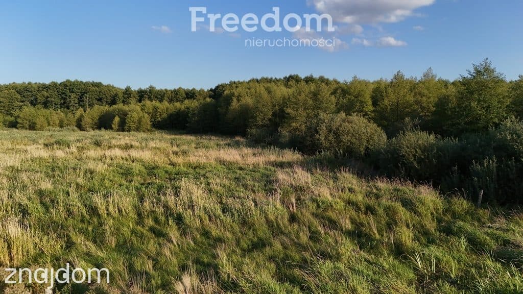 Działka 1001 m² jezioro Dejguny Mazury - zdjęcie 15