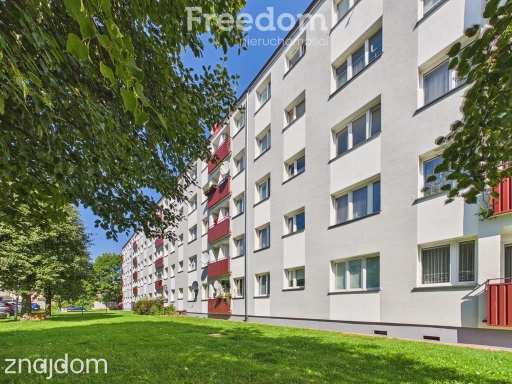 Przytulna kawalerka z oddzielną kuchnią i piwnicą - zdjęcie 10