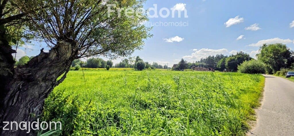 Działka budowlana Ząbrowo- gm. Stare Pole. - zdjęcie 4