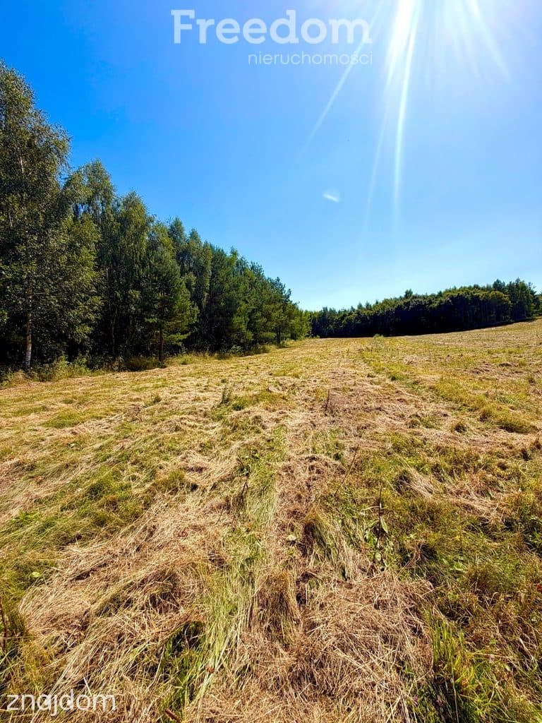 Działka Budowlana nr 664/11