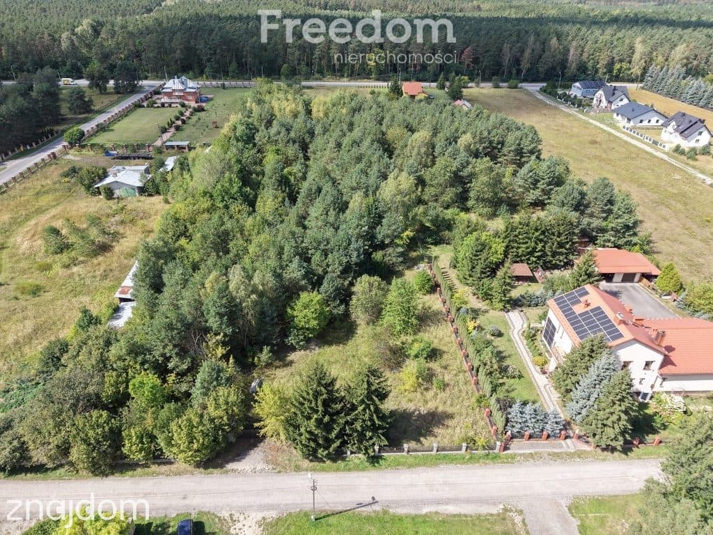 Działka budowlano-rolna 8154m2 ogrodzona - zdjęcie 5