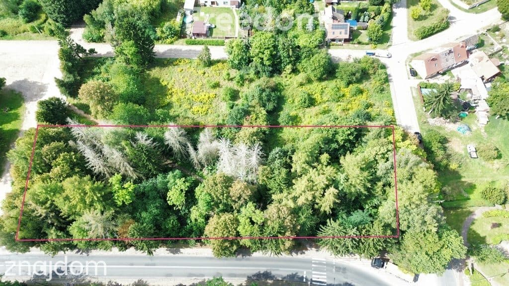 Działka 4 571 m², Tuczno, asfaltowy dojazd, lasy - zdjęcie 5