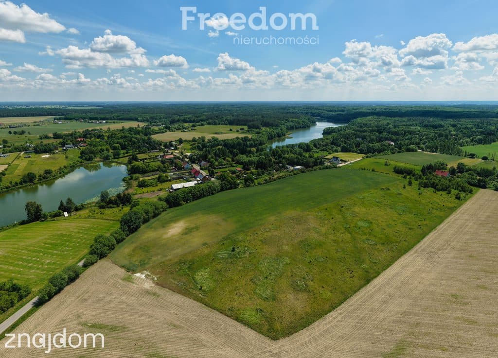 Działki nad jeziorem Nienawiszcz - zdjęcie 7