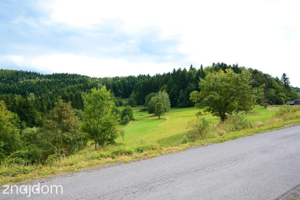 Działki 76 arów z potencjałem inwestycyjnym - zdjęcie 8