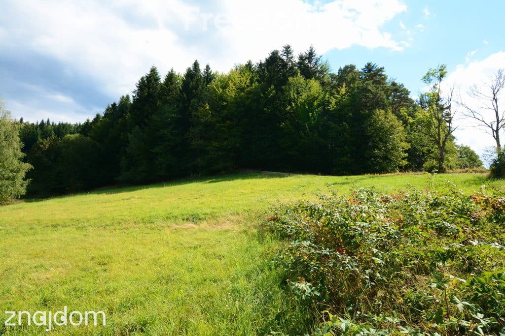 Działki 76 arów z potencjałem inwestycyjnym - zdjęcie 11